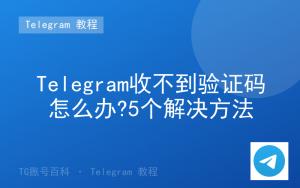 Telegram收不到验证码怎么办?5个解决方法-TG账号百科 | Telegram教程、技巧与最新资讯