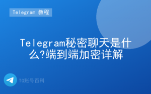 Telegram秘密聊天是什么?端到端加密详解-TG账号百科 | Telegram教程、技巧与最新资讯
