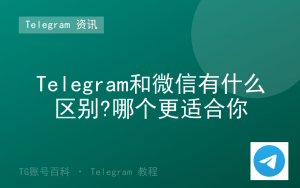 Telegram和微信有什么区别?哪个更适合你-TG账号百科 | Telegram教程、技巧与最新资讯