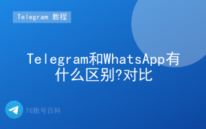 Telegram和WhatsApp有什么区别?对比-TG账号百科 | Telegram教程、技巧与最新资讯
